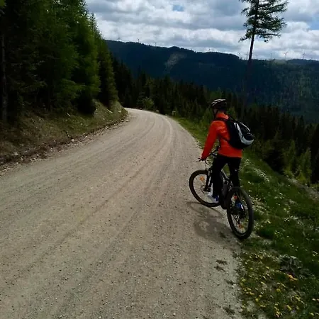 Tannenhof שטינהאוס אם סמרינג