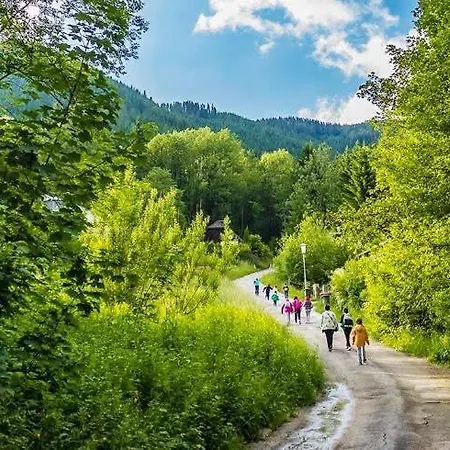 Tannenhof Homestay *