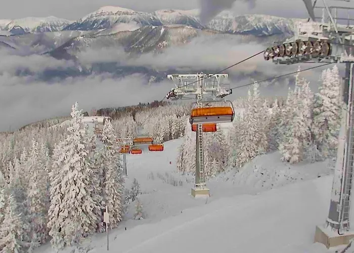 Tannenhof 斯坦豪斯阿赛姆瑞