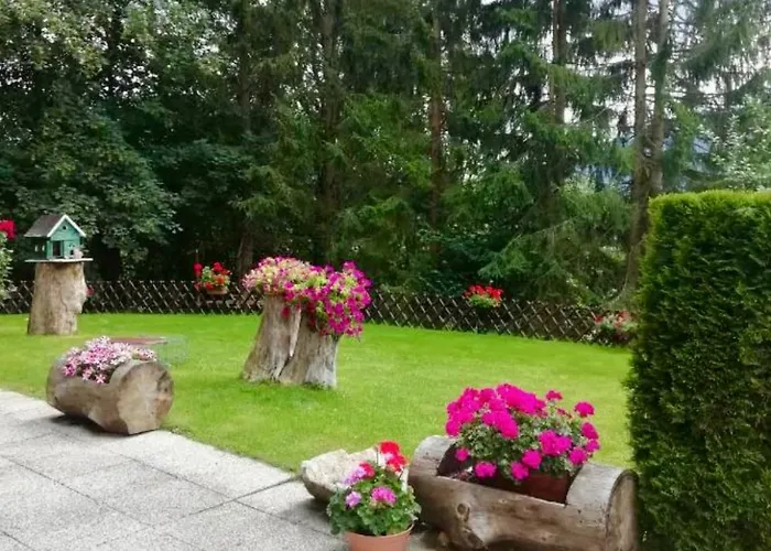 Tannenhof 斯坦豪斯阿赛姆瑞